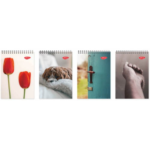 BLOC NOTES A5 SPIRA 80 FILE DACO BN580AR