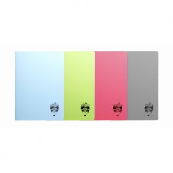 CAIET A5 48 F COPERTA PLASTIC ATINGE EXCELENTA CT549DR
