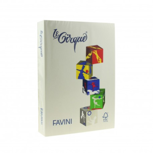 CARTON COLOR 160G/MP A4 109 GRI FAVINI 