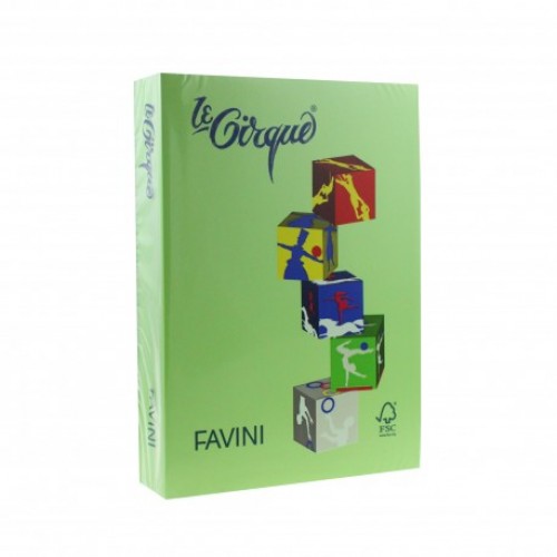 CARTON COLOR 160G/MP A4 203 VERDE IARBA FAVINI 