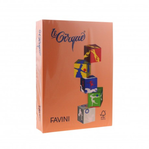 CARTON COLOR 160G/MP A4 205 PORTOCALIU FAVINI 