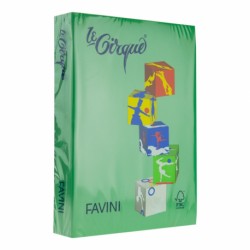 CARTON COLOR 160G/MP A4 207 VERDE PADURE FAVINI
