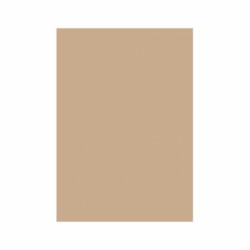 CARTON COLOR 160G/MP  A4  MARO HAZELNUT
