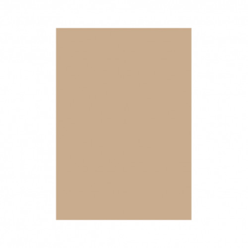 CARTON COLOR 160G/MP  A4  MARO HAZELNUT
