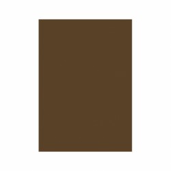 CARTON COLOR 160G/MP  A4  MARO INCHIS