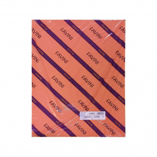 CARTON COLOR 220G/MP 50X70 03 20COLI PORTOCALIU FAVINI