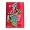 CARTON COLOR CN161  A4  30 COLI  5 CUL. DACO 160G/MP