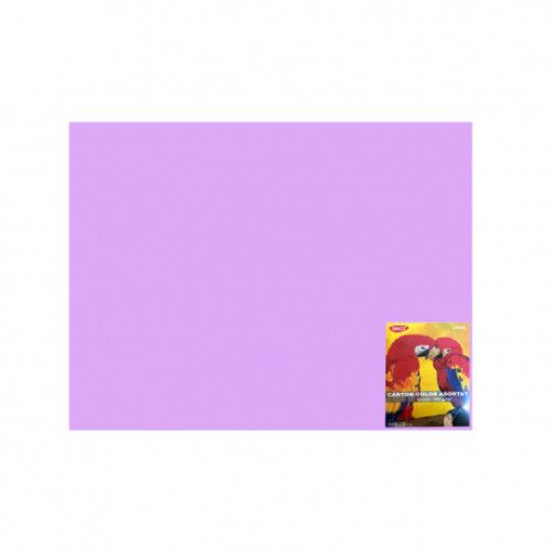 CARTON COLOR CN240L LILA 46X64  10COLI DACO 240G/MP