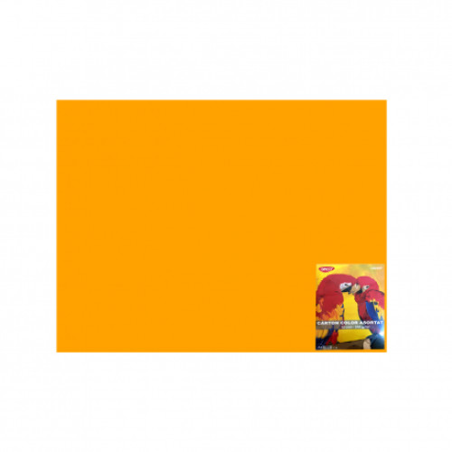 CARTON COLOR CN240P PORT. 46X64  10COLI DACO 240G/MP