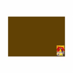 CARTON COLOR CN271CH 270G/MP 70X100 10 COLI DACO