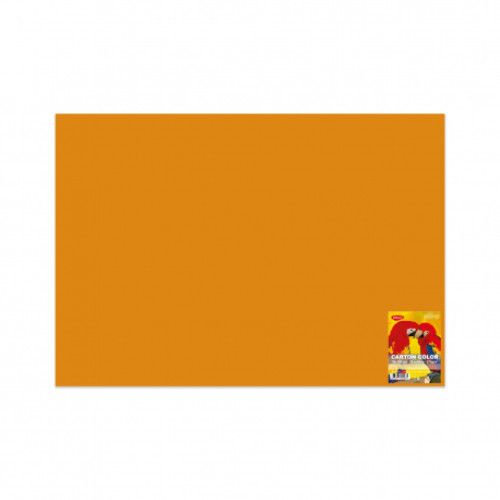 CARTON COLOR CN271P 270G/MP 70X100 10 COLI DACO