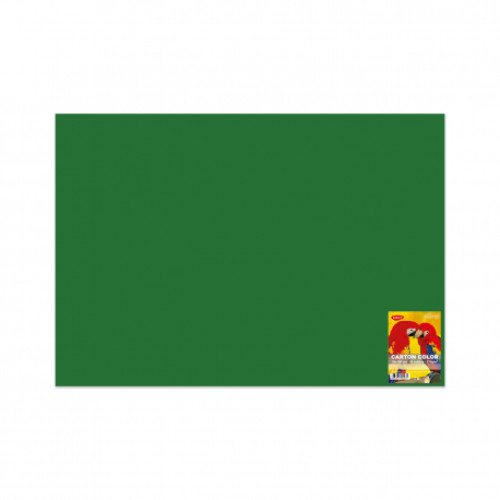 CARTON COLOR CN271VI 270G/MP 70X100 10 COLI DACO