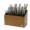 DISPLAY PENSULE 487-138 BUC SERIA 311