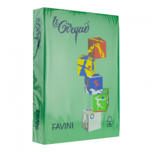 HARTIE COLORATA 80G/MP A4 207 VERDE PADURE FAVINI	