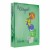 HARTIE COLORATA 80G/MP A4 207 VERDE PADURE FAVINI	