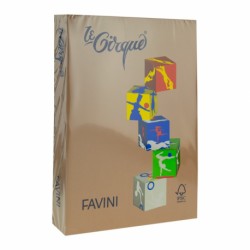 HARTIE COLORATA 80G/MP A4 300 MARO PIELE FAVINI