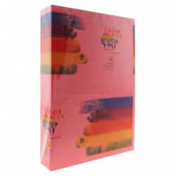 HARTIE COLORATA 80G/MP  A4  ROSIE
