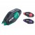 LIPICI BANDA 8.4MM*5M MINI MILAN