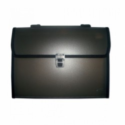 MAPA PLASTIC 12 COMPARTIMENTE DACO MP312N