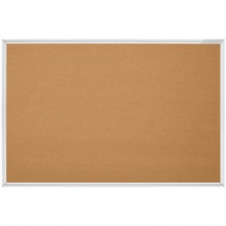 PANOU PLUTA RAMA ALUMINIU 60X90 CM DACO