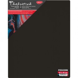 PANZA PICTURA NEAGRA PE SASIU 24X30CM DACO PZ2430N