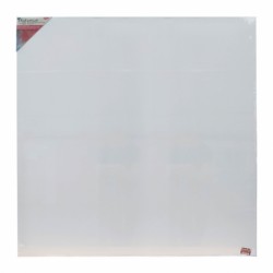 PANZA PICTURA PE SASIU 100*100 CM DACO PZ100100