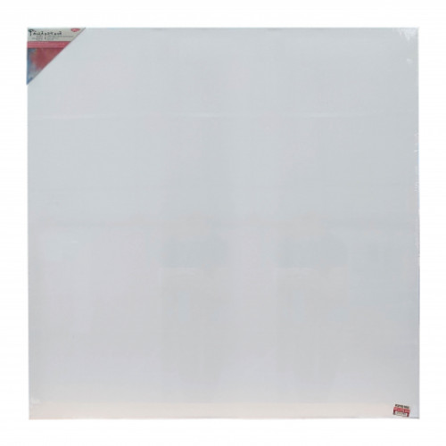 PANZA PICTURA PE SASIU 100*100 CM DACO PZ100100