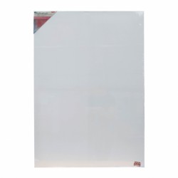 PANZA PICTURA PE SASIU 70*100 CM DACO PZ70100