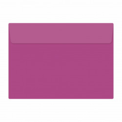 PLIC 13X18 COLOR SILICONIC DACO PC13L