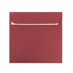 PLIC 14X14 CM PATRAT COLOR SILICONIC DACO PC1414B
