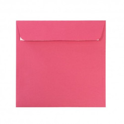 PLIC 14X14 CM PATRAT COLOR SILICONIC DACO PC1414F