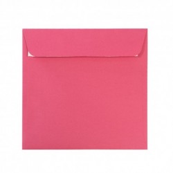 PLIC 14X14 CM PATRAT COLOR SILICONIC DACO PC1414F