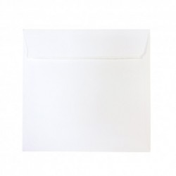 PLIC 14X14 CM PATRAT COLOR SILICONIC DACO PC1414W