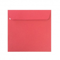 PLIC 16X16 CM PATRAT COLOR SILICONIC DACO PC1616RC