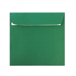 PLIC 16X16 CM PATRAT COLOR SILICONIC DACO PC1616VP