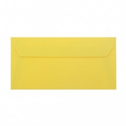PLIC DL COLOR SILICONIC DACO PC12G GALBEN