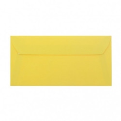 PLIC DL COLOR SILICONIC DACO PC12G GALBEN