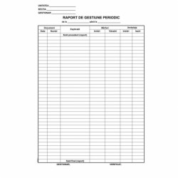 RAPORT  GESTIUNE ZILNIC L03486