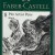 PITT ARTIST PEN SET 8 BUC NEGRU 2022 FABER-CASTELL