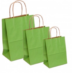 PUNGI HARTIE 24.5X9.5X29.5CM VERDE DESCHIS