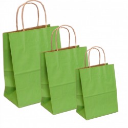 PUNGI HARTIE 24.5X9.5X29.5CM VERDE DESCHIS