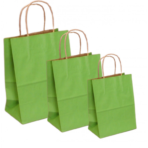 PUNGI HARTIE 24.5X9.5X29.5CM VERDE DESCHIS