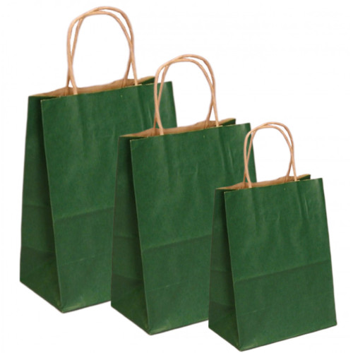 PUNGI HARTIE 24.5X9.5X29.5CM VERDE INCHIS
