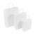 PUNGI HARTIE 24X11X26CM ALBA