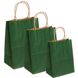 PUNGI HARTIE 32X12X41CM VERDE INCHIS