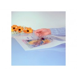 AUTOCOLANT POLIESTER A4 236G ALB 50/TOP NOLA XEROX