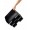 TAVITA DOCUMENTE LANDSCAPE NEAGRA JUMBO PLUS LEITZ
