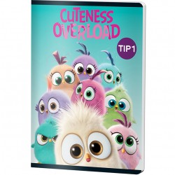 CAIET TIP I 24F ANGRY BIRDS PIGNA