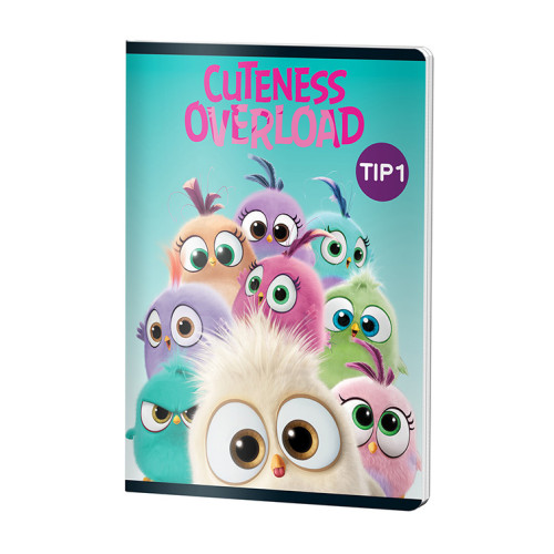 CAIET TIP I 24F ANGRY BIRDS PIGNA
