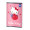 CAIET TIP II 24F HELLO KITTY PIGNA
